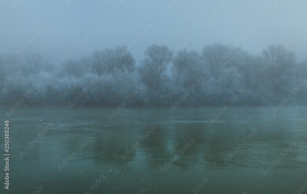 Fototapeta premium River in the fog. Forest by the river in hoarfrost, hoarfrost. Background water of the river and the forest on the shore in the fog.