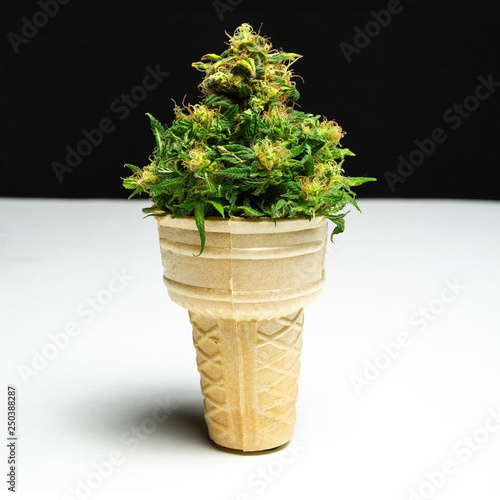 Medical Weed Ice Cream on Black and White Background