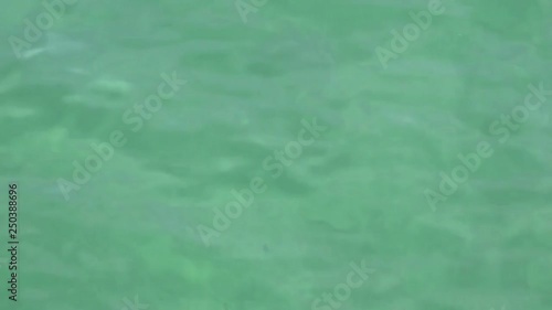 Water motion Loop in Nature vdeo clip