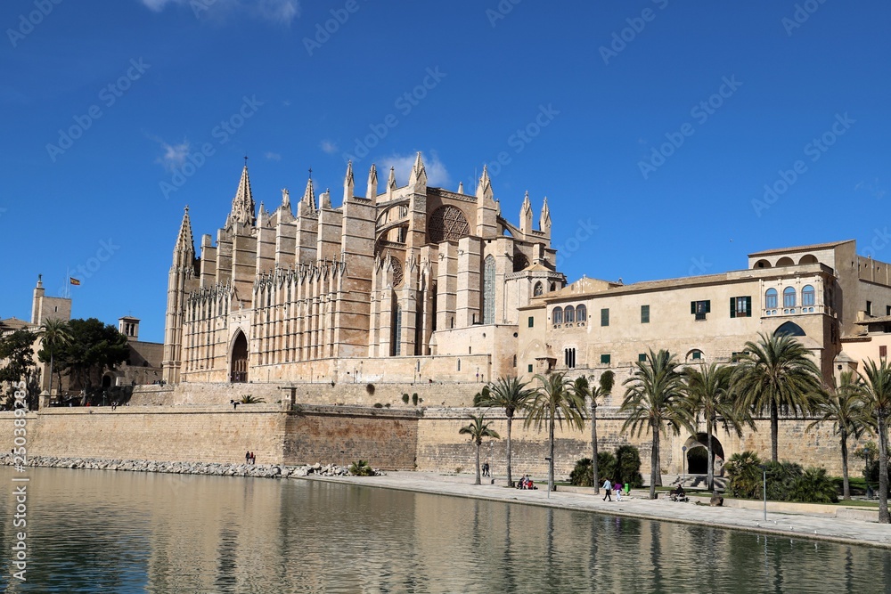 La Seu Cathedral Palma de Mallorca in Spain on a sunny day with blue sky La Seu Cathedral Palma de Mallorca in Spain on a sunny day with blue sky