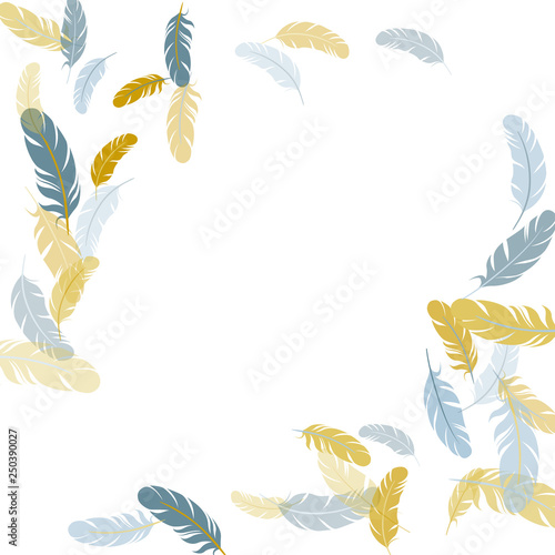 Falling feather elements soft vector design.