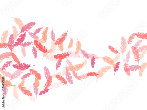 Flying feather elements airy vector design.