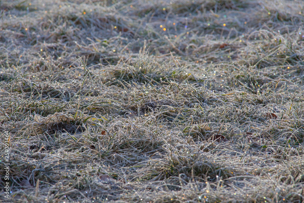 sparkling ice crystals on a frosty meadow sparkle in the sun sparkling ice crystals on a frosty meadow sparkle in the sun