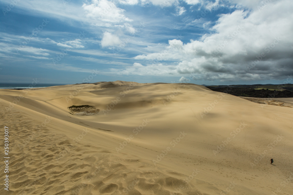 Giant Sand Dunes, New Zealand. Landscape with one silhouette of person walking up the dune. Sea and hills in the background, blue sky with white clouds