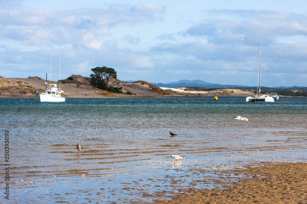 Mangawhai Heads harbour view with boats and wild birds in the afternoon sun. Sand dunes and cloudy skyin the background