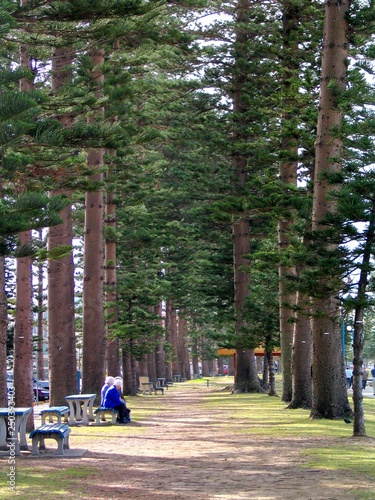 Photography Manly. Beach of Sydney. Australia
