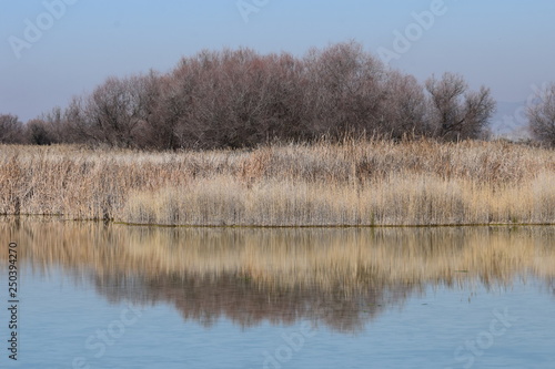 Las Tablas de Daimiel, Ciudad Real, España