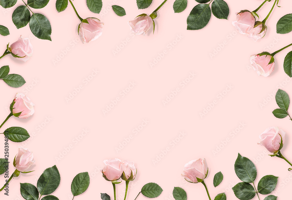 Frame of pink roses and castings on a pastel pink background. Beautiful gentle background. Flat lay.  Floral background.Top view. Copy space. Mock-up