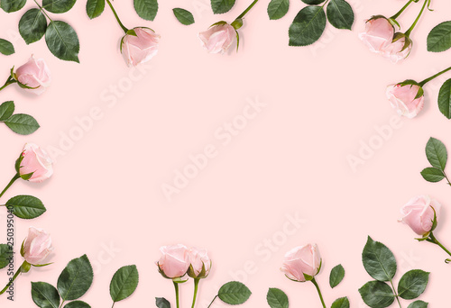 Frame of pink roses and castings on a pastel pink background. Beautiful gentle background. Flat lay. Floral background.Top view. Copy space. Mock-up
