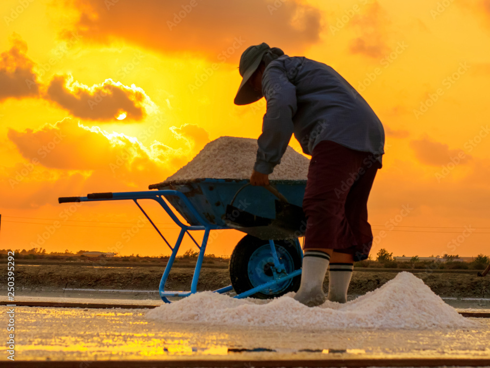 Fototapeta premium Salt farmers is working at Salt Industry. Salt production is made from sea water and sunlight until dry into crystal.
