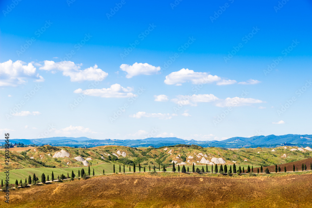 Naklejka premium Summer view of Crete Senesi in Tuscany, Italy