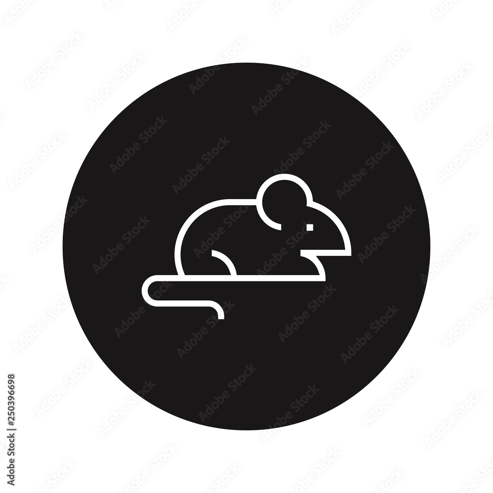 Rat vector icon Rat vector icon