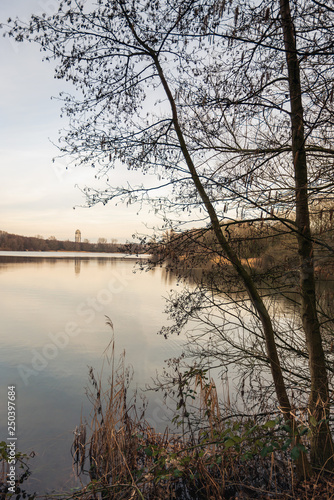 Look through to a lake between the branches of an alder shrub with bare branches and catkins