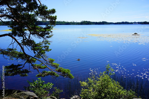 lake asnen, sweden photo