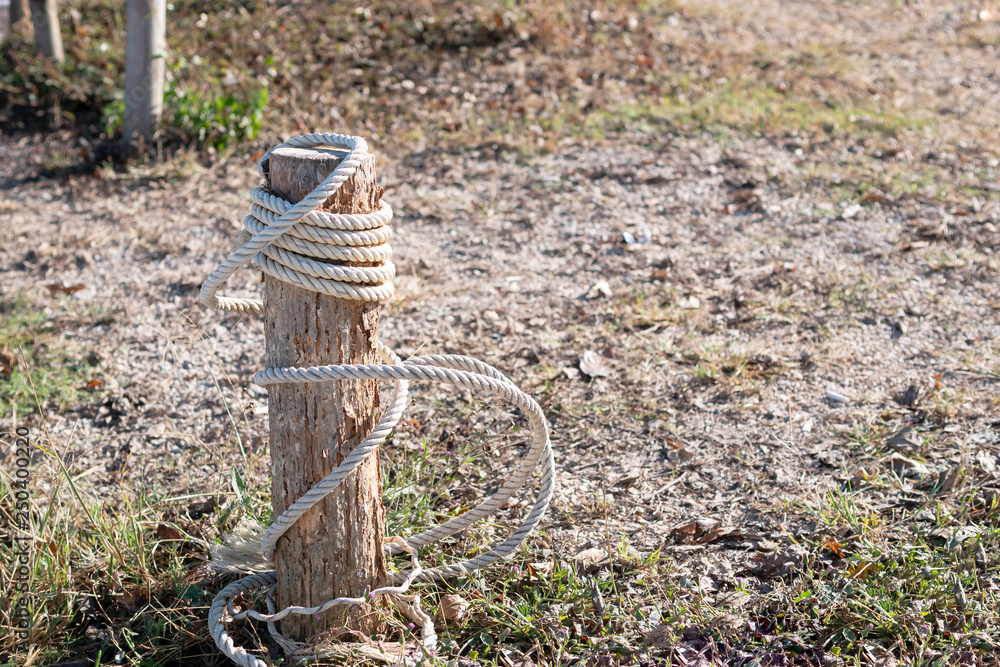 White rope tied with broken stump on the ground White rope tied with broken stump on the ground