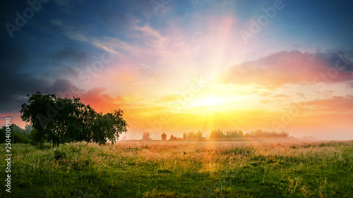 A plain uncultivated field with a single tree and beautiful sunset above it.