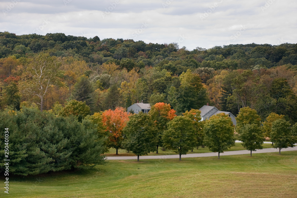 Beautiful golden autumn at Storm King Art Center hills