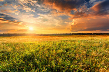 Acrylglasbilder Orange Summer landscape with uncultivated field and beautiful sunset above it.  © Maxim Khytra