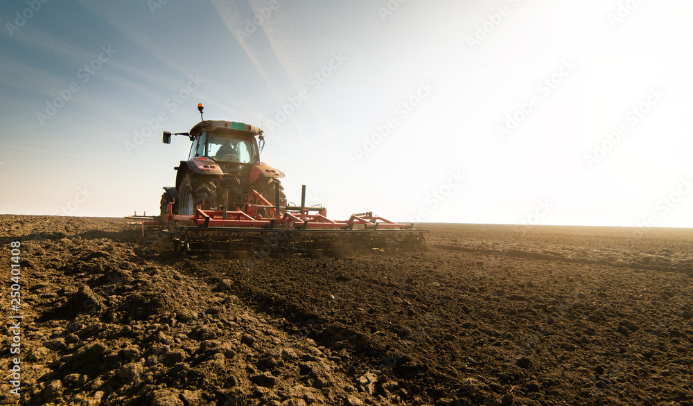 Fototapeta premium Plowing of stubble field