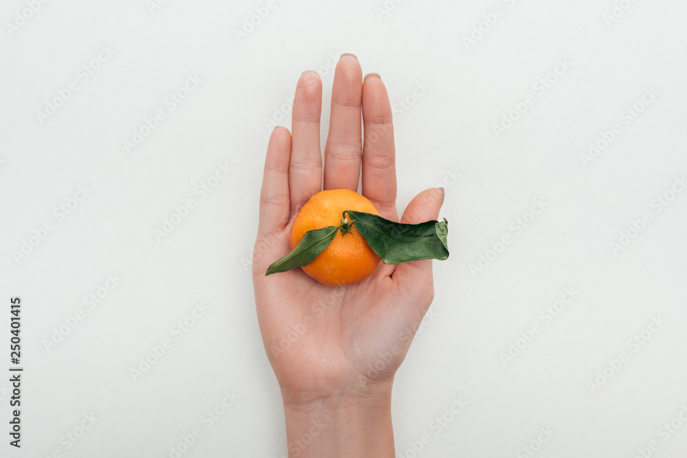 partial view of woman holding whole bright tangerine in hand on white background partial view of woman holding whole bright tangerine in hand on white background