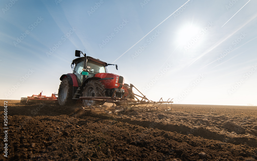 Fototapeta premium Plowing of stubble field