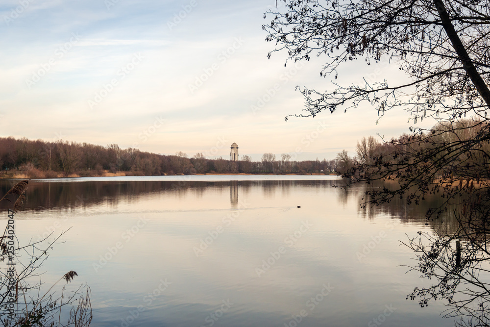 Look through to a lake between the branches of an alder shrub with bare branches and catkins Look through to a lake between the branches of an alder shrub with bare branches and catkins