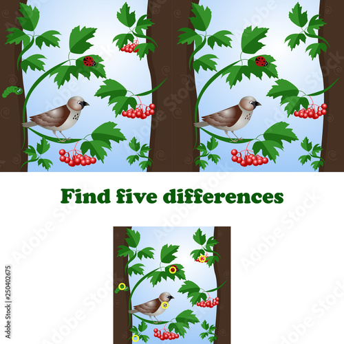 vector illustration find 5 differences in the picture with the sparrow