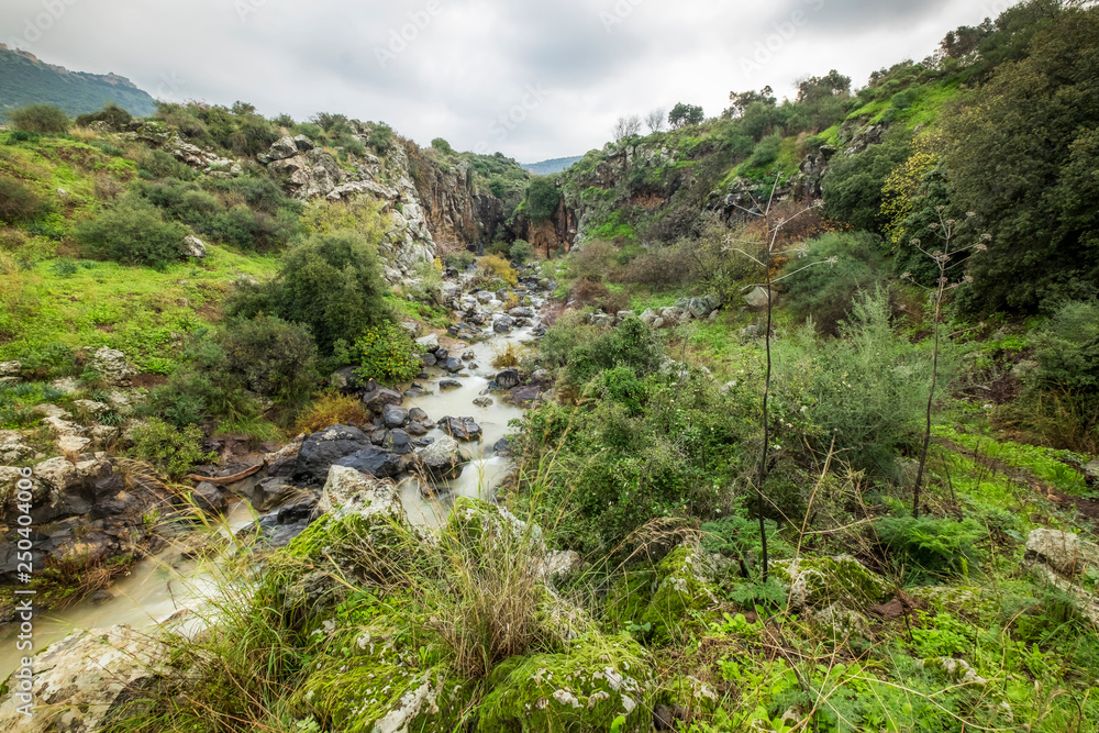 Sa'ar waterfall, northen israel