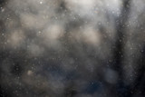Light winter snow fall, blurry background 