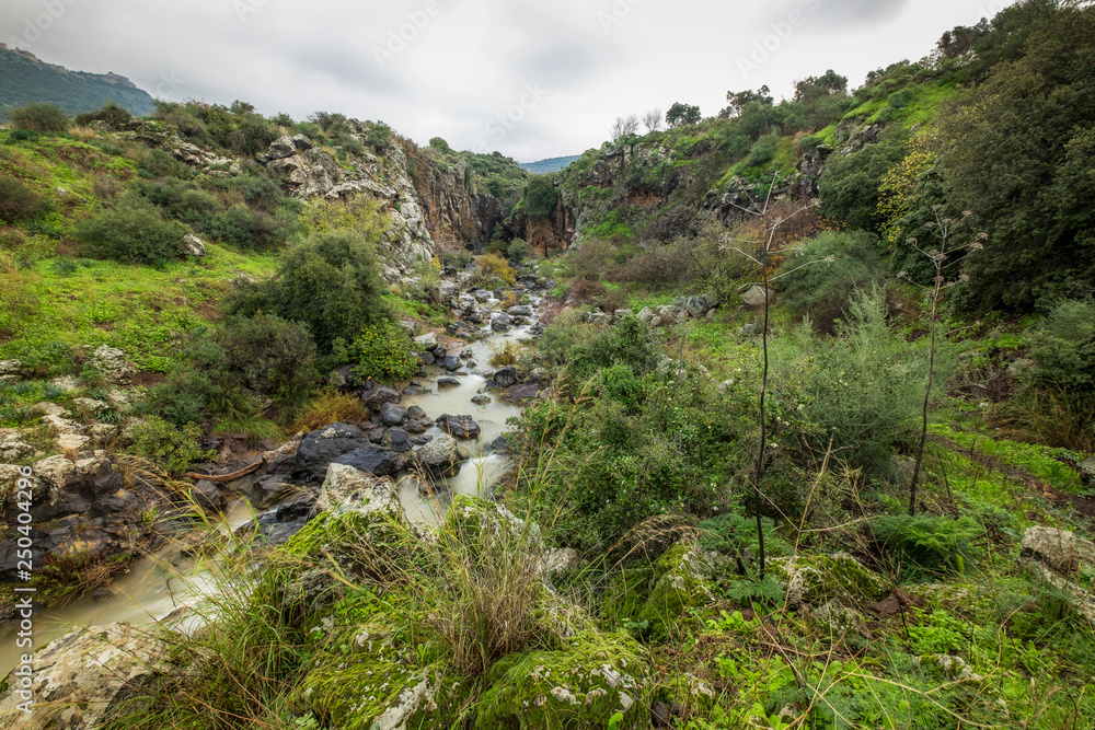 Sa'ar waterfall, northen israel Sa'ar waterfall, northen israel