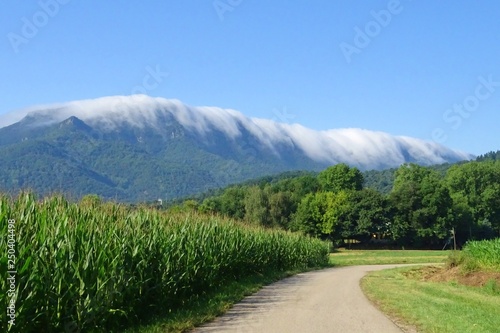 mountain with fogg in the top and corn field, beautiful nature landscape from La Vall den Bas, Catalonia, Spain