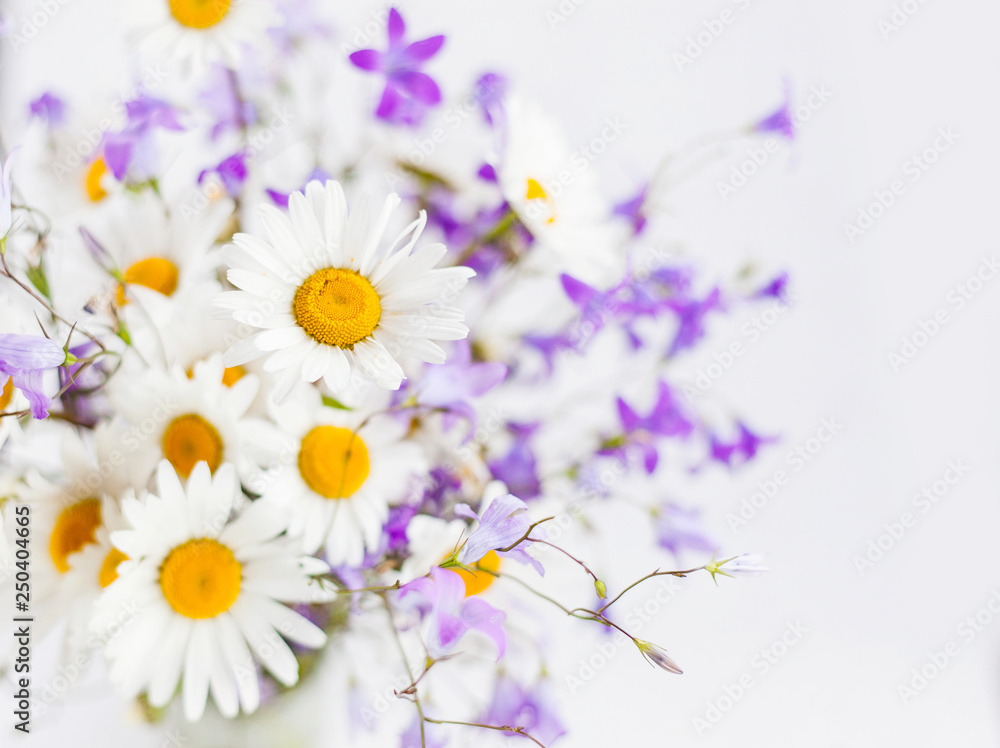 Fototapeta premium bouquet of wild flowers on a white background