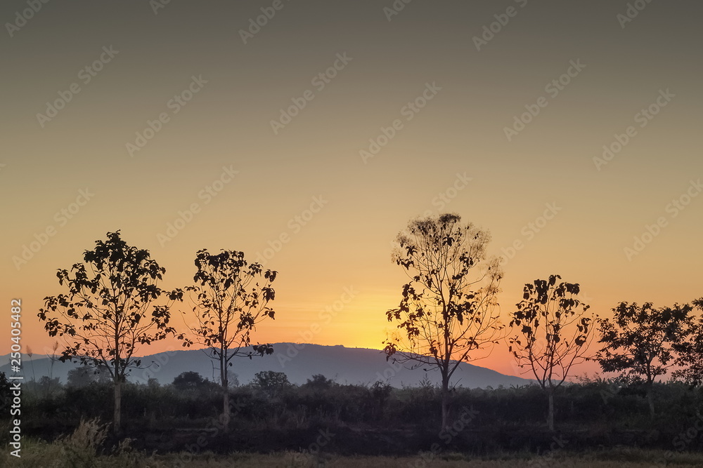 Silhouette of the trees with the hill and yellow sky background, sunrise at Doi Nang Non, view rural in Mae Sai District, Chiang Rai, northern of Thailand. Silhouette of the trees with the hill and yellow sky background, sunrise at Doi Nang Non, view rural in Mae Sai District, Chiang Rai, northern of Thailand.