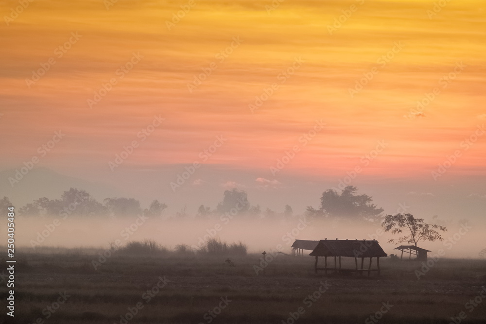 alone hut in rice fields, view misty morning sunrise at rice fields with yellow sun light in the sky background, scenic rural at Doi Nang Non, Mae Sai District, Chiang Rai, northern of Thailand. alone hut in rice fields, view misty morning sunrise at rice fields with yellow sun light in the sky background, scenic rural at Doi Nang Non, Mae Sai District, Chiang Rai, northern of Thailand.