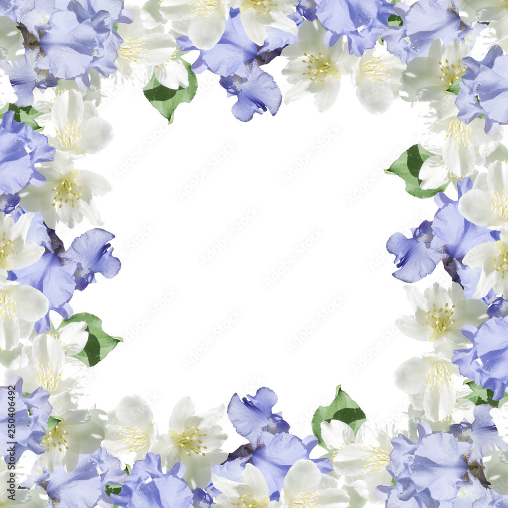 Beautiful floral background of irises and Jasmine Beautiful floral background of irises and Jasmine