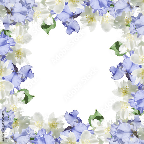 Beautiful floral background of irises and Jasmine