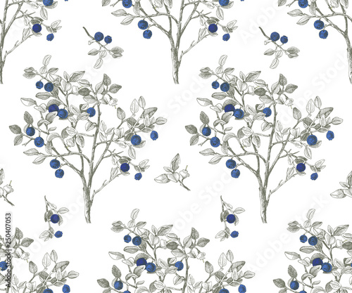 Seamless pattrn with blueberry bushes