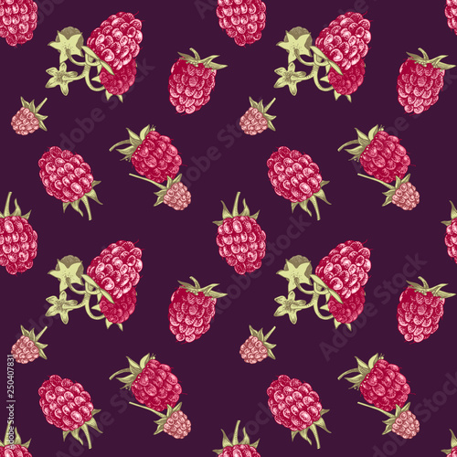 Seamless pattern with hand drawn raspberries
