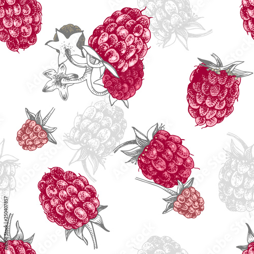 Seamless pattern with hand drawn raspberries