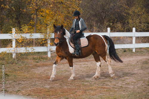 autumn horse training ride