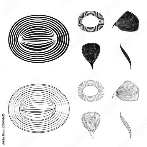 Vector illustration of fiber and muscular symbol. Set of fiber and body  vector icon for stock.