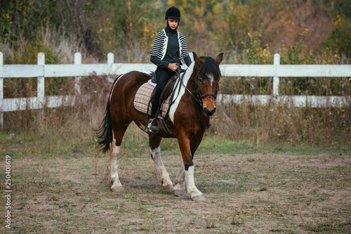 equestrian with his horse outdoor training