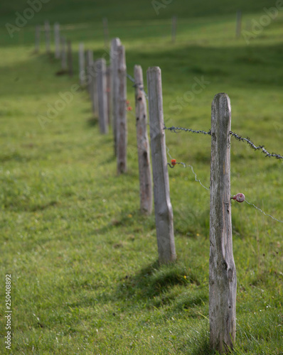 Vollpfosten photo