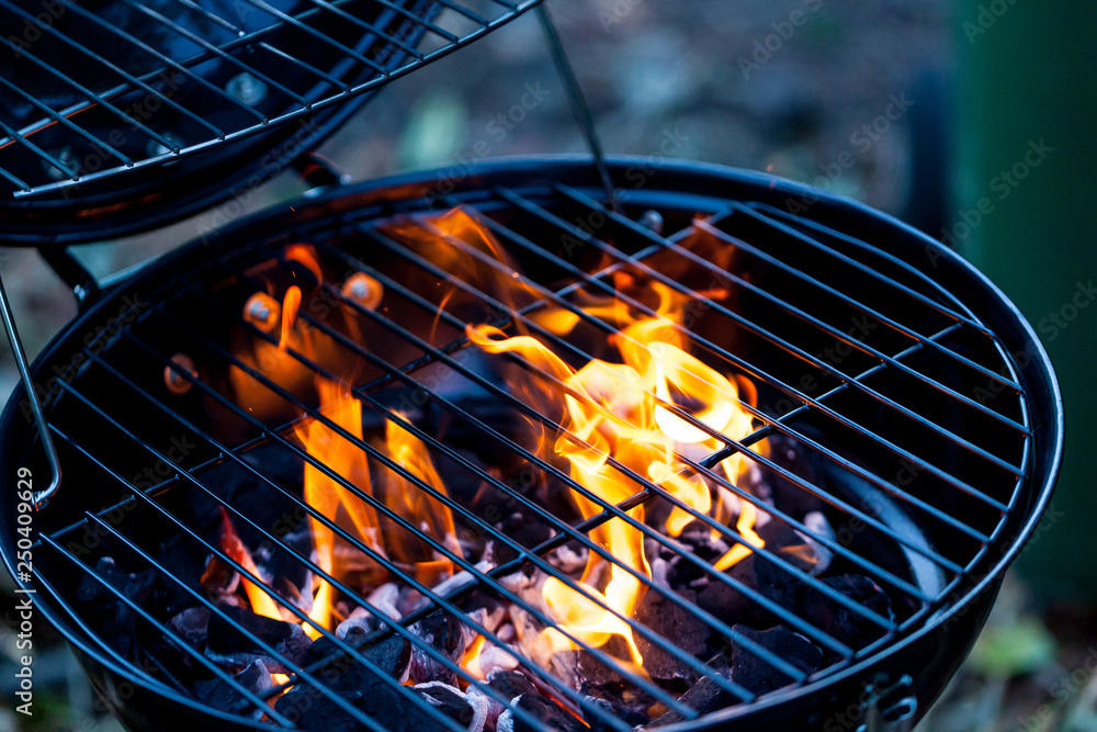 Barbecue fire with round grill. Food preparing concept with bbq fire on grill