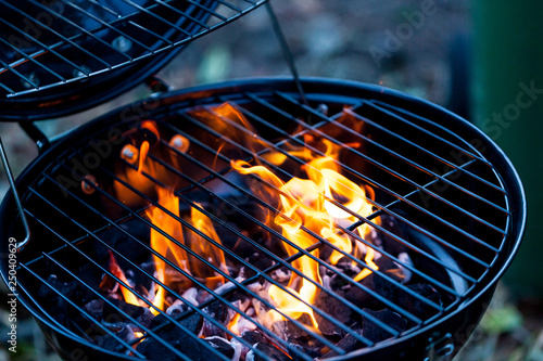 Obraz na płótnie Barbecue fire with round grill. Food preparing concept with bbq fire on grill w salonie
