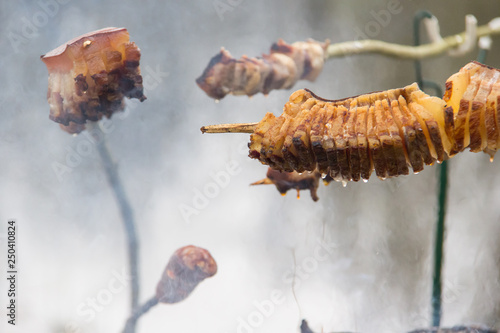 Strong roast bacon on the skewer. Campfire Cooking. Close up wiew. photo