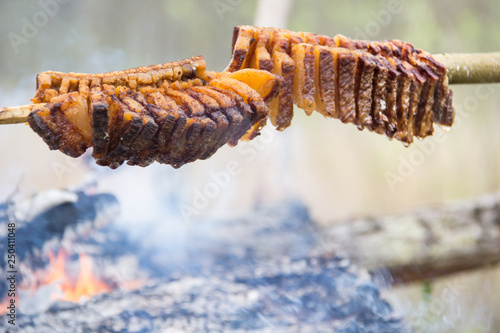 Strong roast bacon on the skewer. Campfire Cooking. Close up wiew. photo