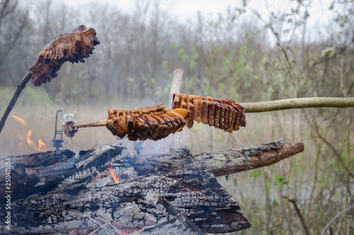 Strong roast bacon on the skewer. Campfire Cooking. Close up wiew. photo