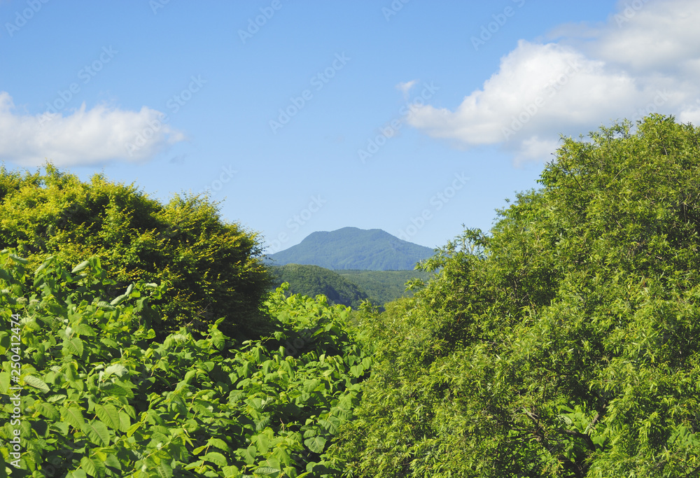 木　草　山　空　雲　素材