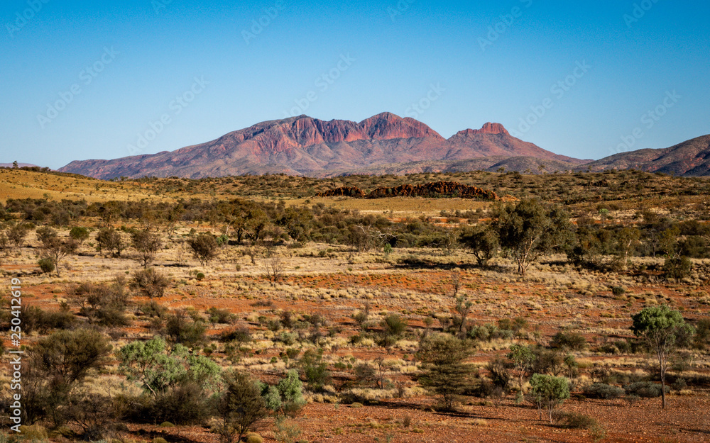 Red centre landscape with distant view of Mount Sonder NT outback Australia